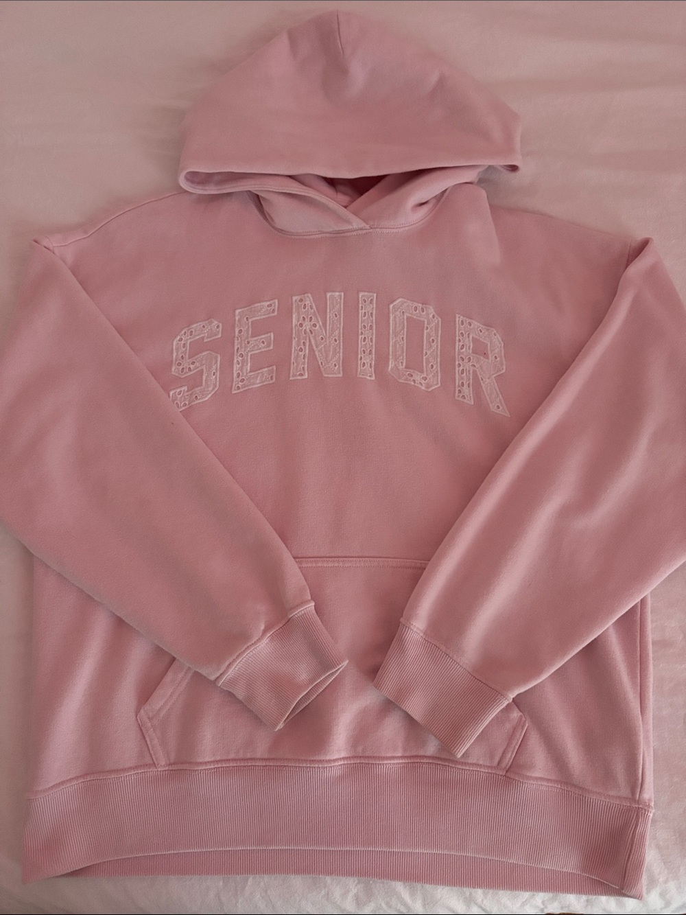 Hollister Light Pink Senior Hoodie
